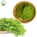 Weight Loss Natural Moringa Dried Powder Moringa